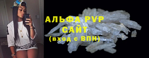 ПСИЛОЦИБИНОВЫЕ ГРИБЫ Каменка