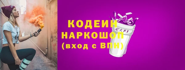 ПСИЛОЦИБИНОВЫЕ ГРИБЫ Каменка