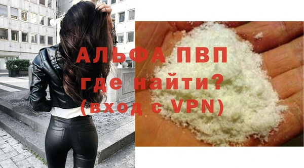 ПСИЛОЦИБИНОВЫЕ ГРИБЫ Каменка