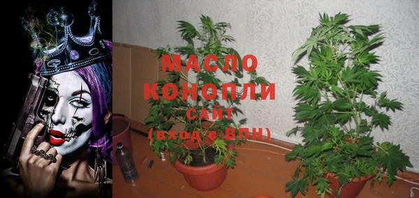 ПСИЛОЦИБИНОВЫЕ ГРИБЫ Каменка