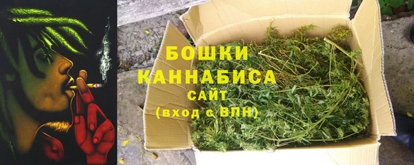 ПСИЛОЦИБИНОВЫЕ ГРИБЫ Каменка