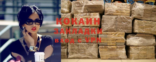 ПСИЛОЦИБИНОВЫЕ ГРИБЫ Каменка