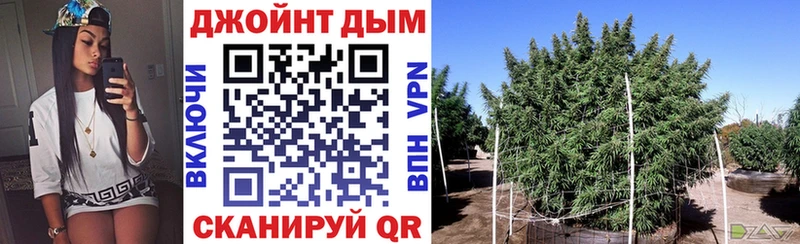 Купить  Судогда  Марихуана гибрид 